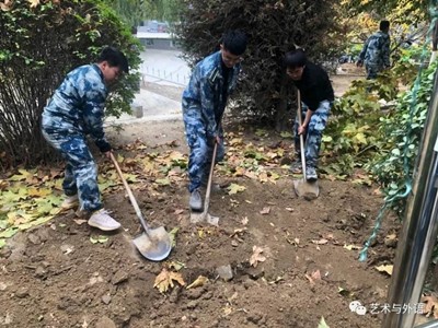 种一颗小树，绿一方净土