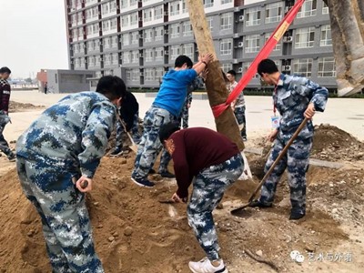 种一颗小树，绿一方净土