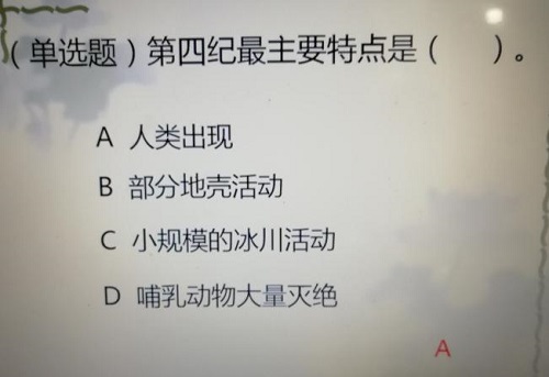 我的宅家日记——上网课的感受